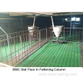 Composite resin slatted floor for pig for sheep